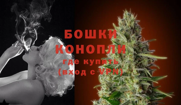 дмт Приозерск