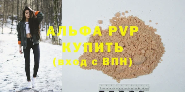 индика Сосновка