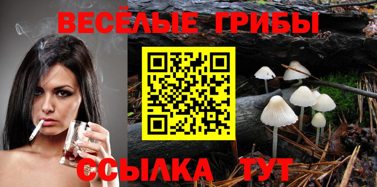 Псилоцибиновые грибы MAGIC MUSHROOMS  Псилоцибиновые грибы GOLDEN TEACHER  Аша  Вход с VPN 