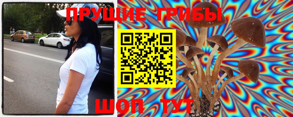 Галлюциногенные грибы прущие грибы  как найти   Аша 