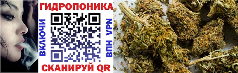 Бошки Шишки SATIVA & INDICA  Аша 